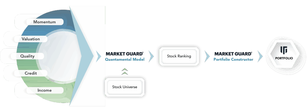 stock portfolio process